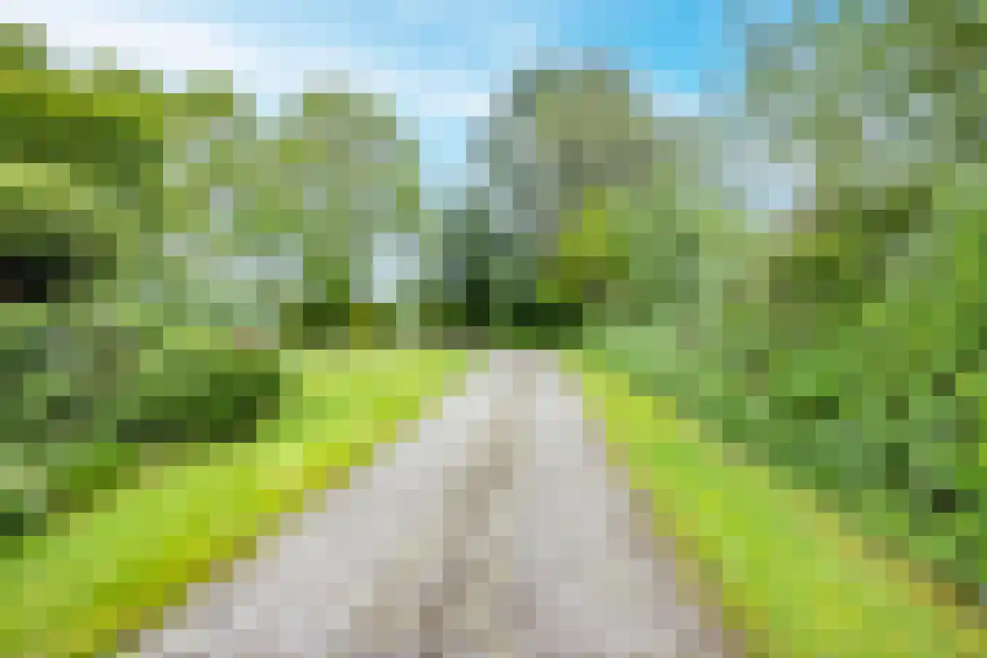 Tregelaar 2 Oirschot thumbnail 42