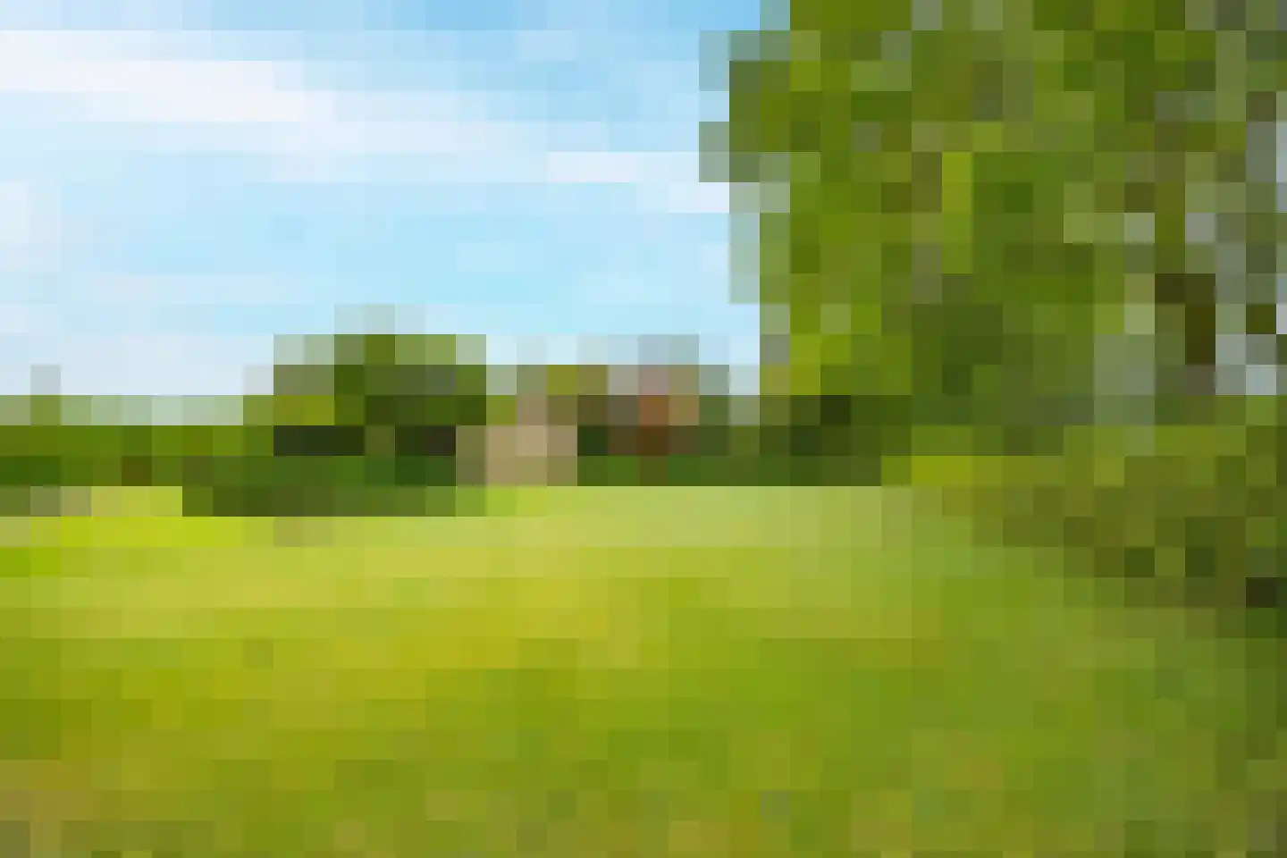 Tregelaar 2 Oirschot thumbnail 43