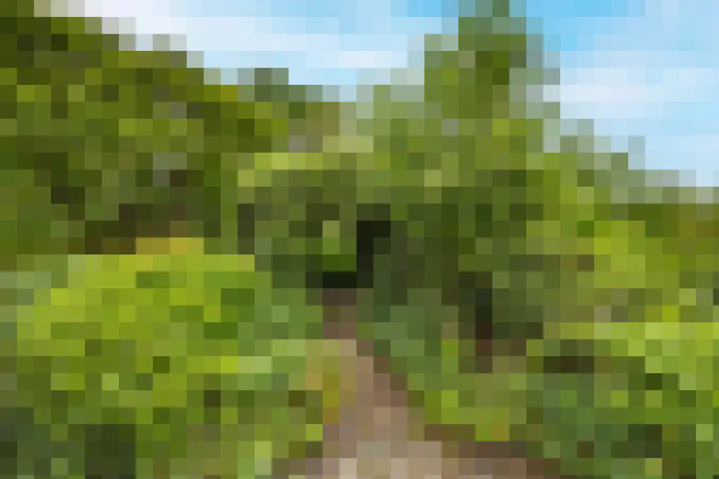 Tregelaar 2 Oirschot thumbnail 45
