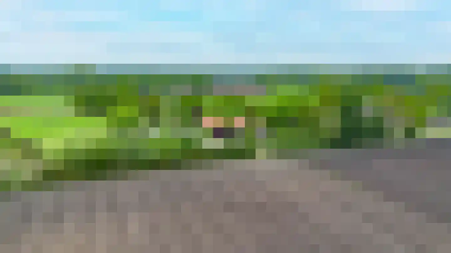 Tregelaar 2 Oirschot thumbnail 5