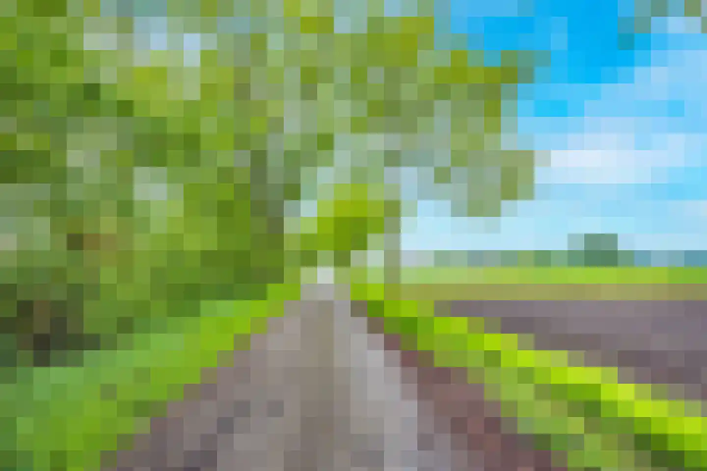 Tregelaar 2 Oirschot thumbnail 6