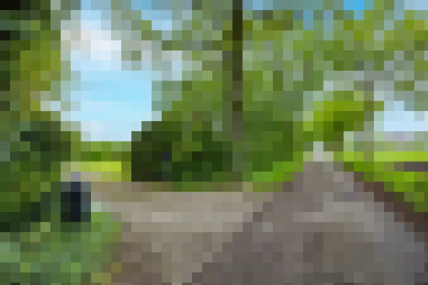 Tregelaar 2 Oirschot thumbnail 7