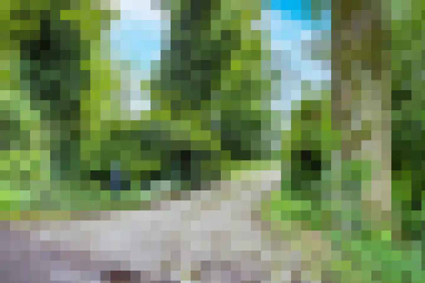 Tregelaar 2 Oirschot thumbnail 8