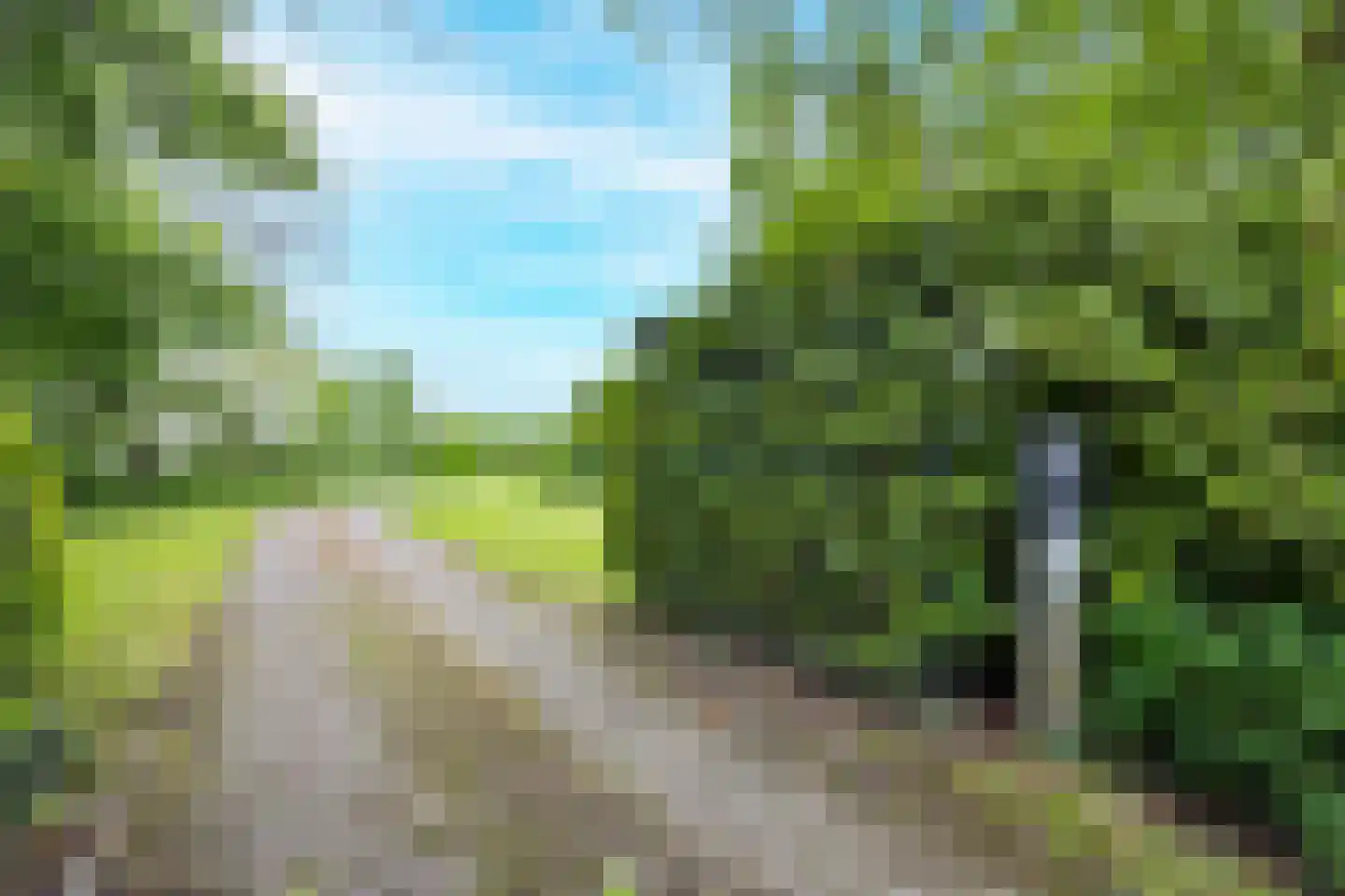 Tregelaar 2 Oirschot thumbnail 9