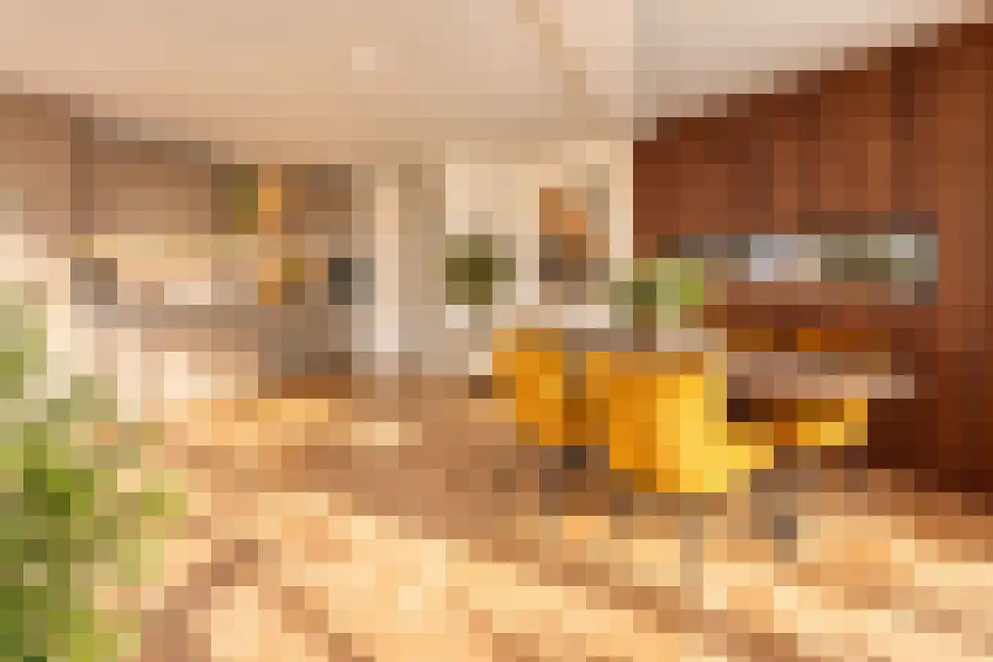 Treilerdwarsweg 20 Den Haag thumbnail 5