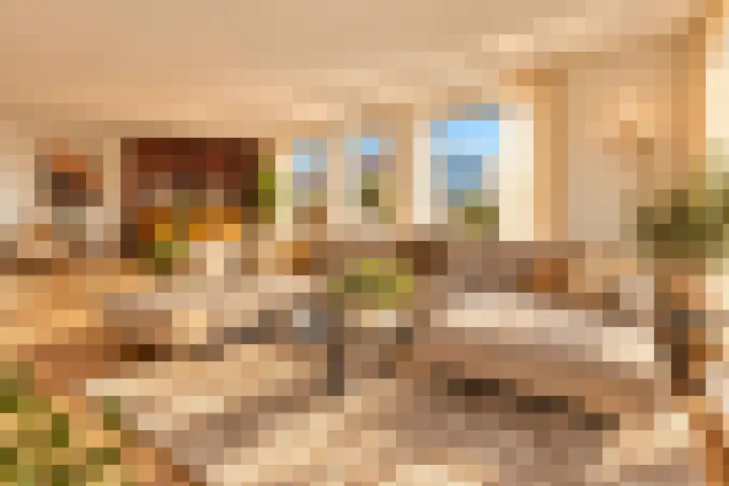 Treilerdwarsweg 20 Den Haag thumbnail 6