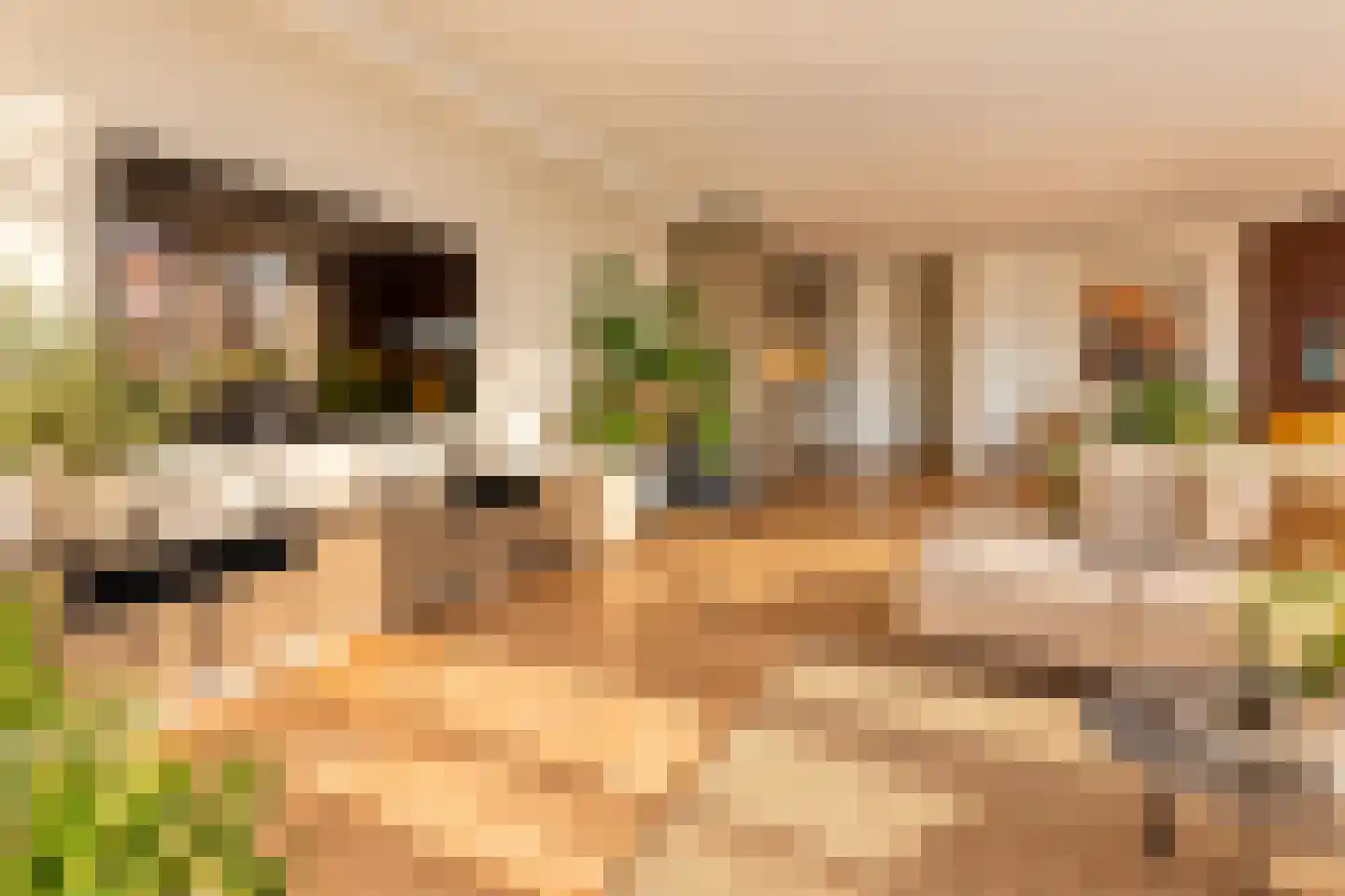 Treilerdwarsweg 20 Den Haag thumbnail 8