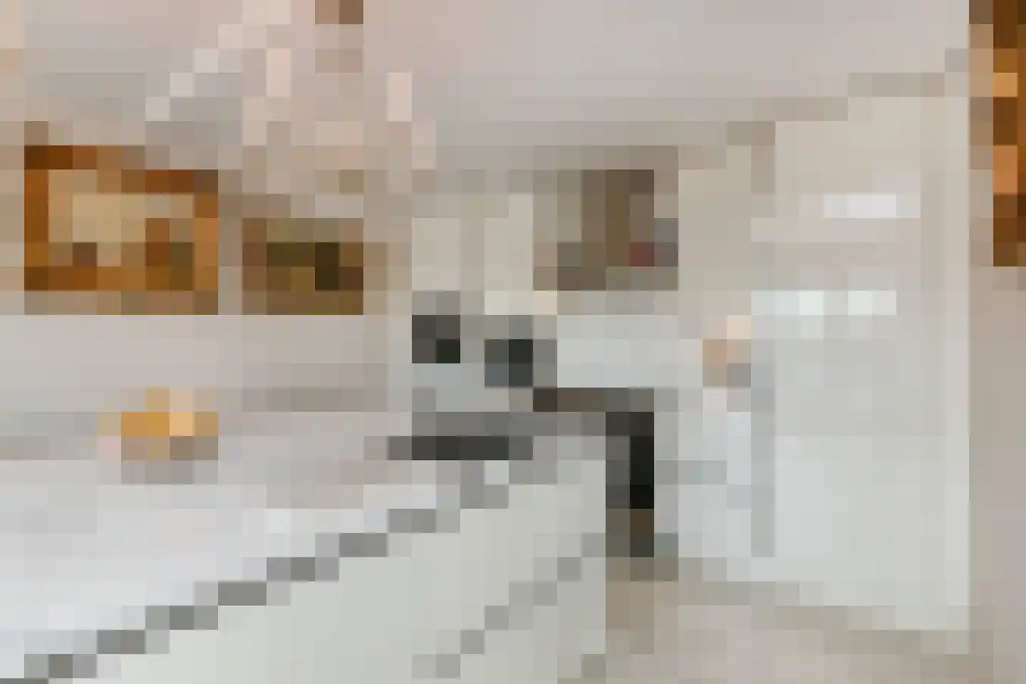 Treilerdwarsweg 32 Den Haag thumbnail 10