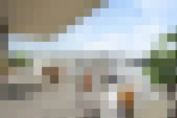 Treilerdwarsweg 46 Den Haag thumbnail 10