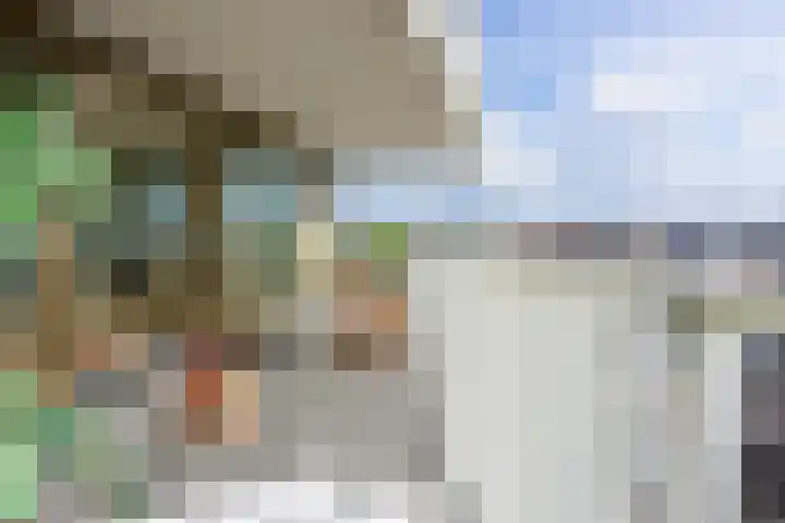 Treilerdwarsweg 46 Den Haag thumbnail 11
