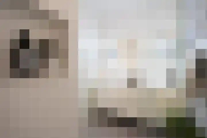Treilerdwarsweg 46 Den Haag thumbnail 23