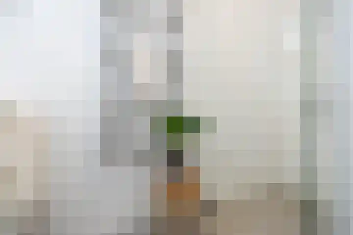 Treilerdwarsweg 46 Den Haag thumbnail 27