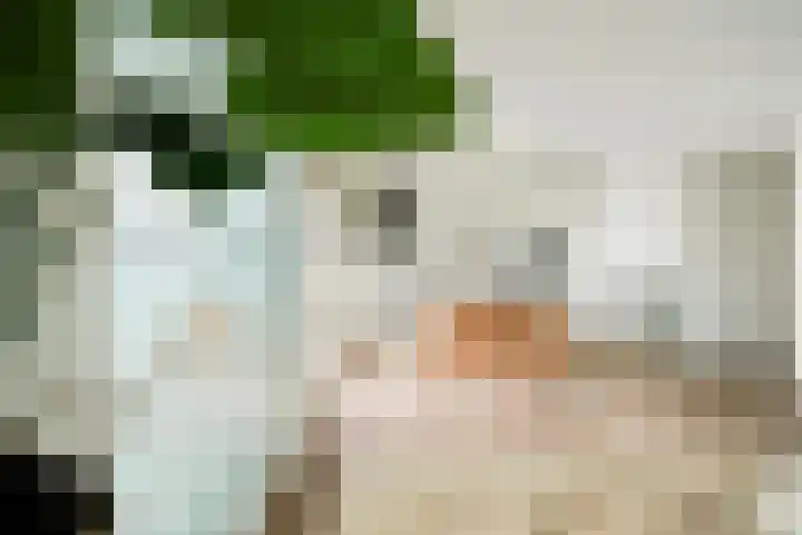 Treilerdwarsweg 46 Den Haag thumbnail 4