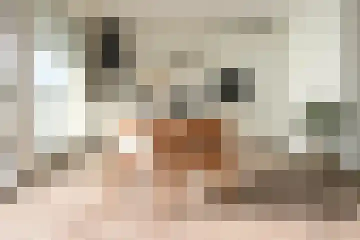 Treilerdwarsweg 46 Den Haag thumbnail 5