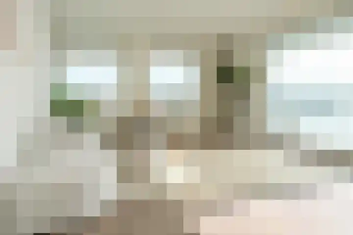 Treilerdwarsweg 46 Den Haag thumbnail 6