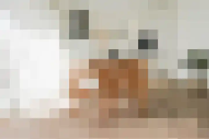 Treilerdwarsweg 46 Den Haag thumbnail 8