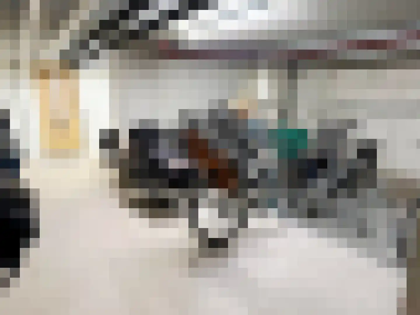 Treilerdwarsweg 54 Den Haag thumbnail 64