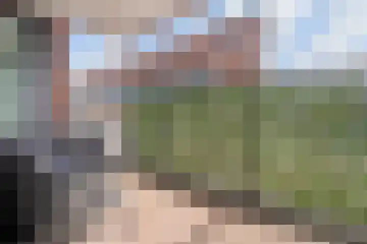 Treilerdwarsweg 70 Den Haag thumbnail 11