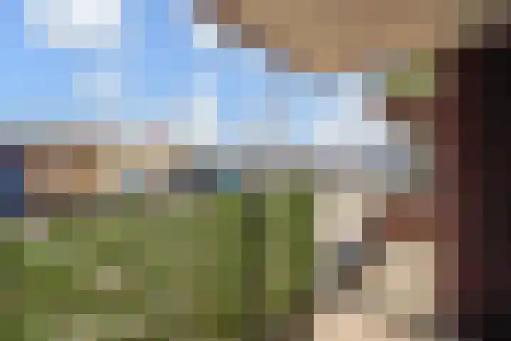 Treilerdwarsweg 70 Den Haag thumbnail 12
