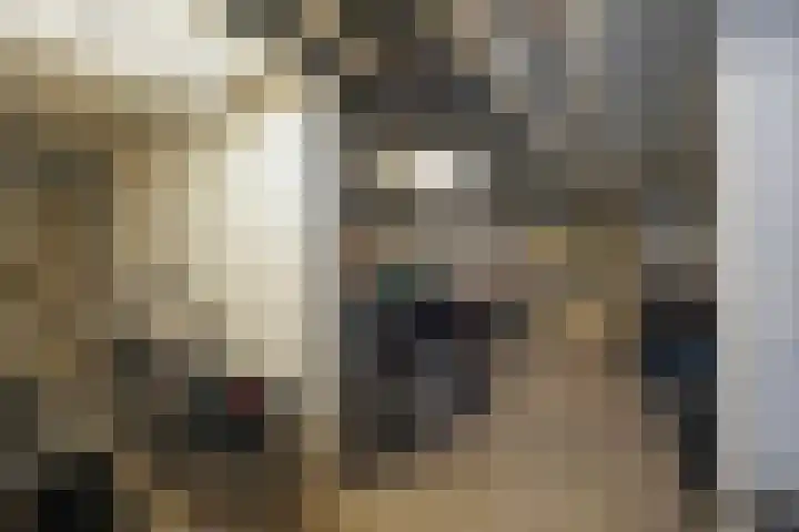 Treilerdwarsweg 70 Den Haag thumbnail 30