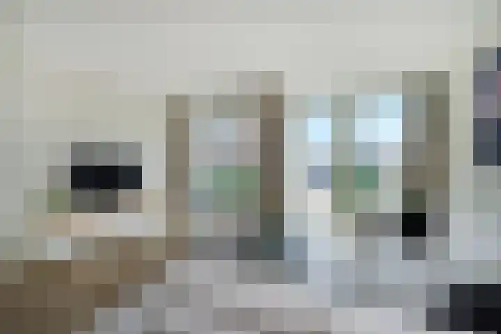 Treilerdwarsweg 70 Den Haag thumbnail 9