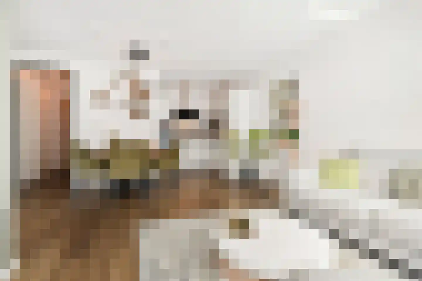 Treilerdwarsweg 92 Den Haag thumbnail 12