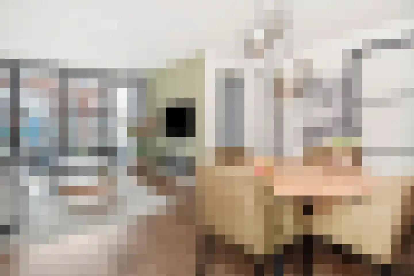 Treilerdwarsweg 92 Den Haag thumbnail 16