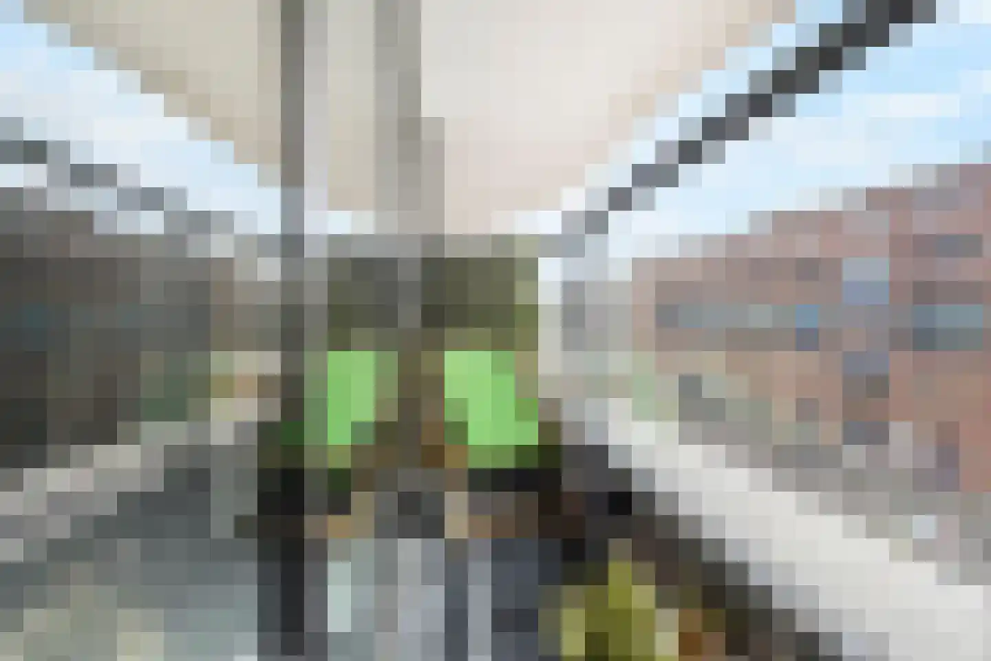 Treilerdwarsweg 92 Den Haag thumbnail 19