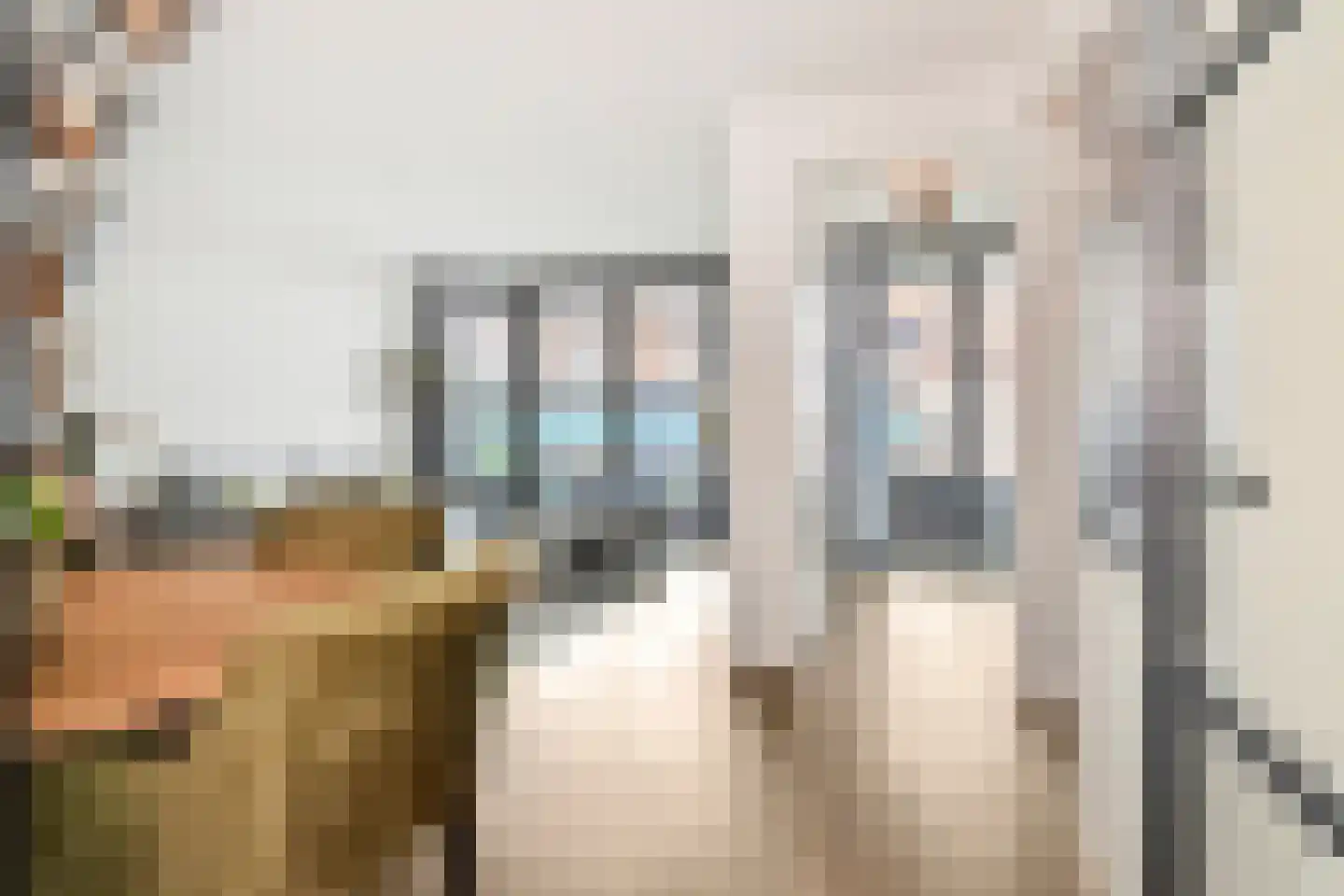 Treilerdwarsweg 92 Den Haag thumbnail 8