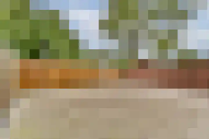 Treilerhof 73 Amsterdam thumbnail 12