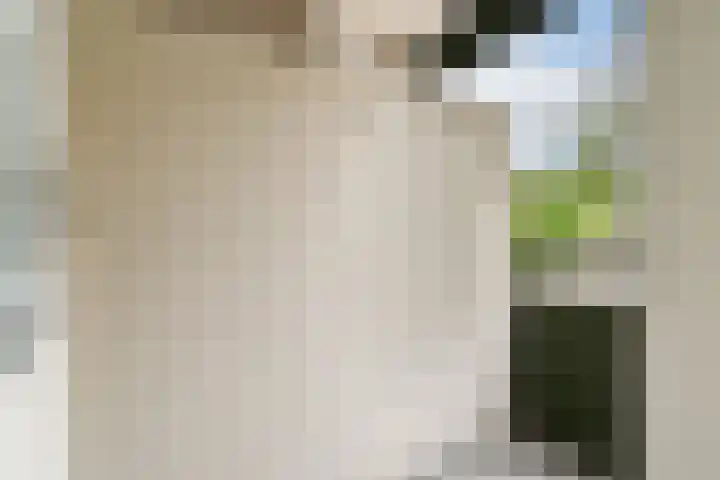 Treilerhof 73 Amsterdam thumbnail 15