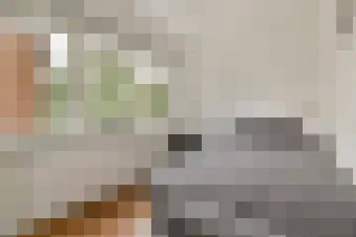Treilerhof 73 Amsterdam thumbnail 22