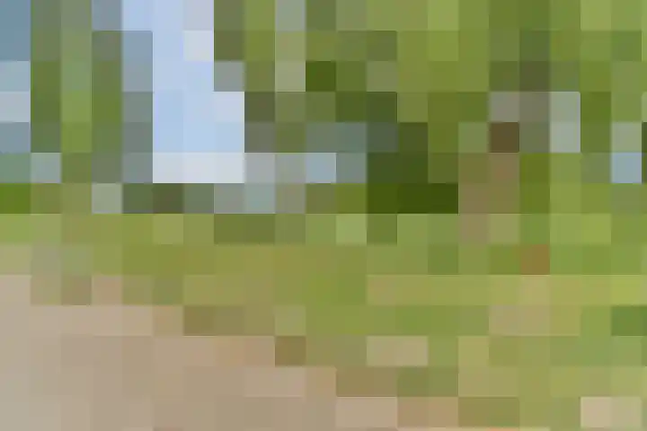 Treilerhof 73 Amsterdam thumbnail 24