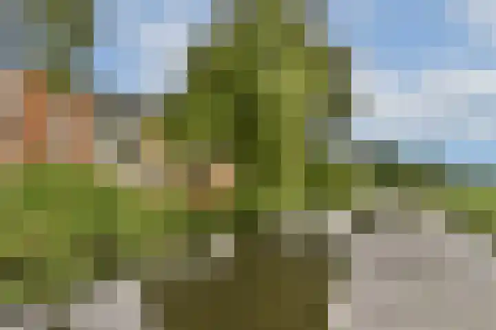 Treilerhof 73 Amsterdam thumbnail 32