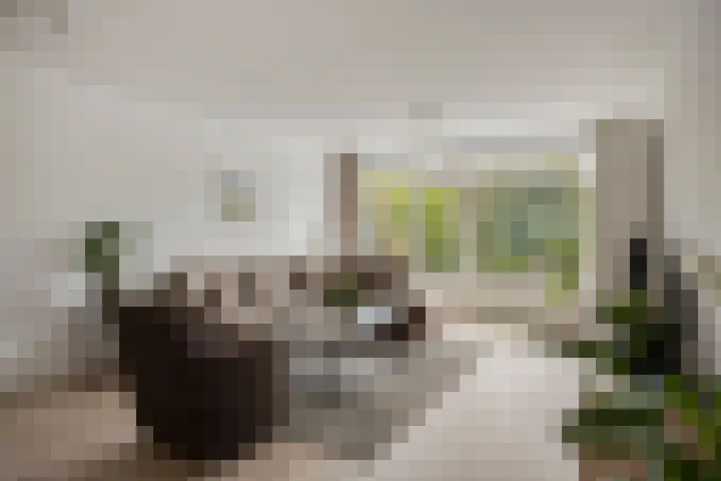Treilerstraat 33 B Zaandam thumbnail 13