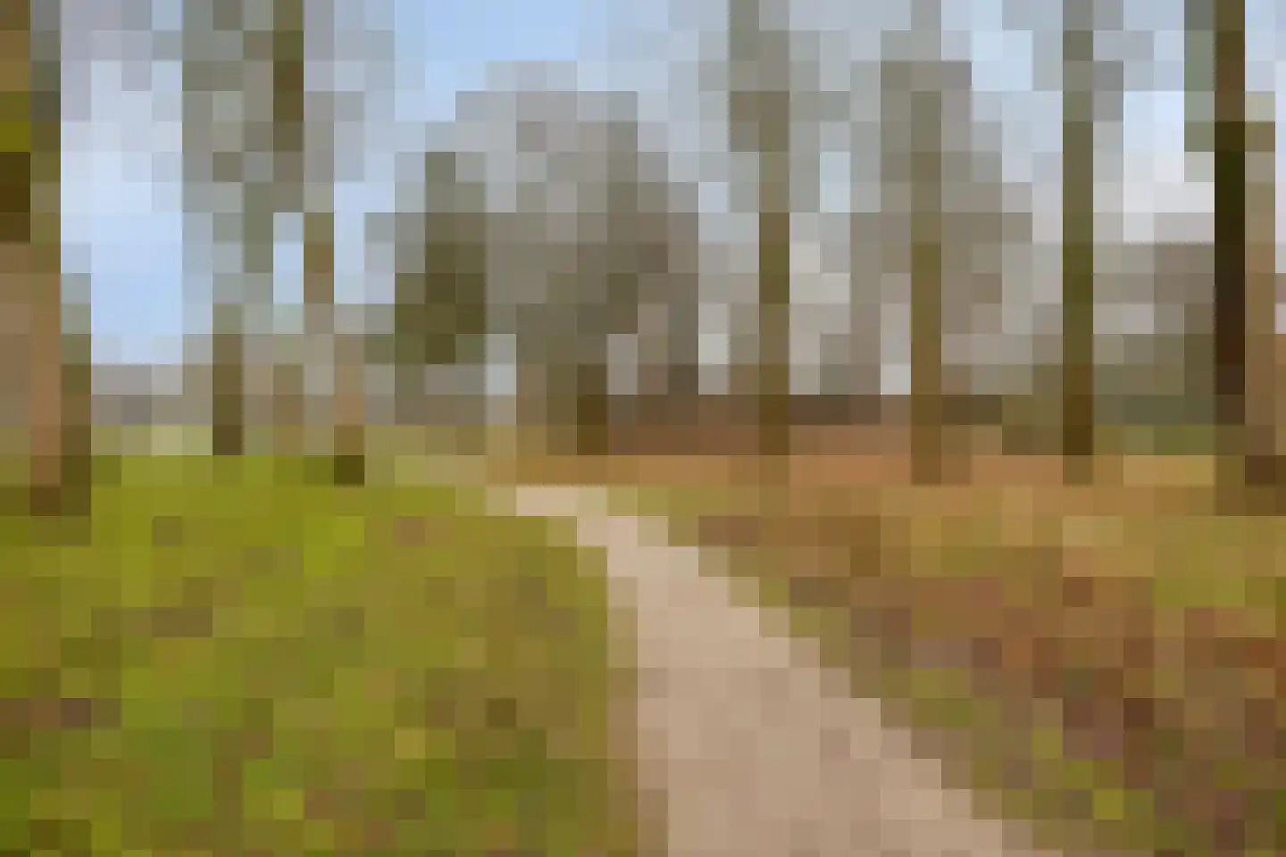 Treilerstraat 33 B Zaandam thumbnail 42