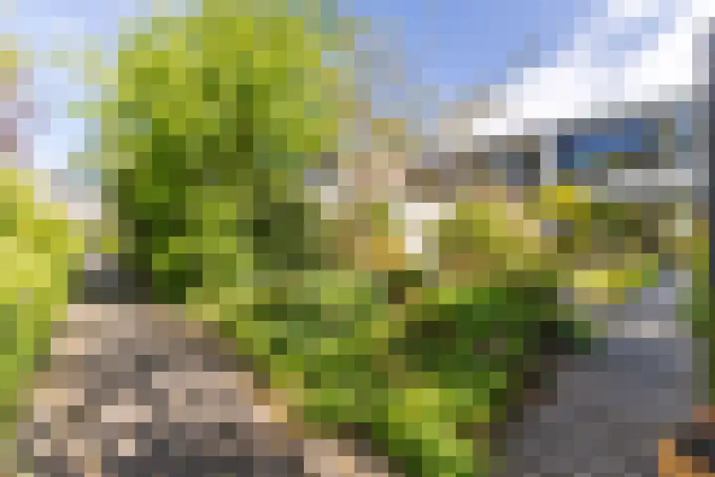 Treilerstraat 35 Zaandam thumbnail 4
