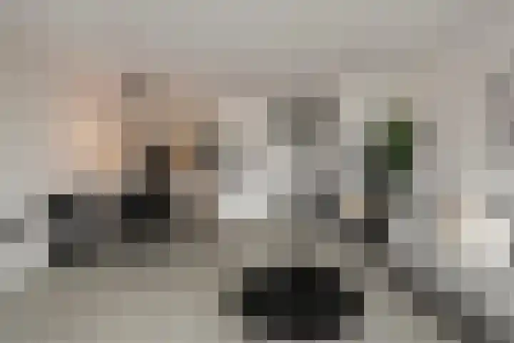 Treilerstraat 45 Den Helder thumbnail 8