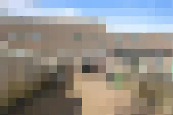 Treilerstraat 5 Den Helder thumbnail 6