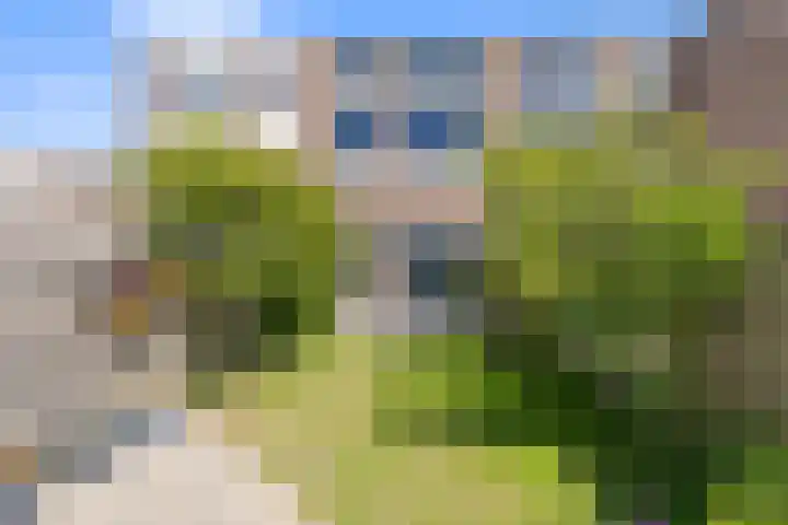 Treilerstraat 50 Den Helder thumbnail 10