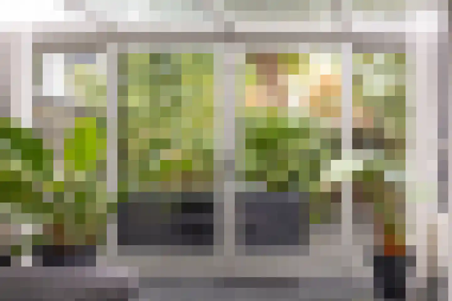 Treilerstraat 89 Zaandam thumbnail 22