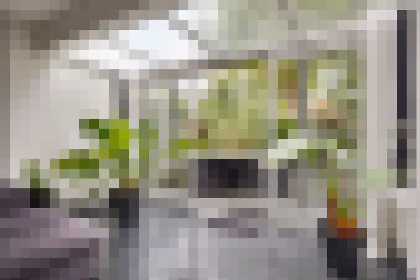 Treilerstraat 89 Zaandam thumbnail 23