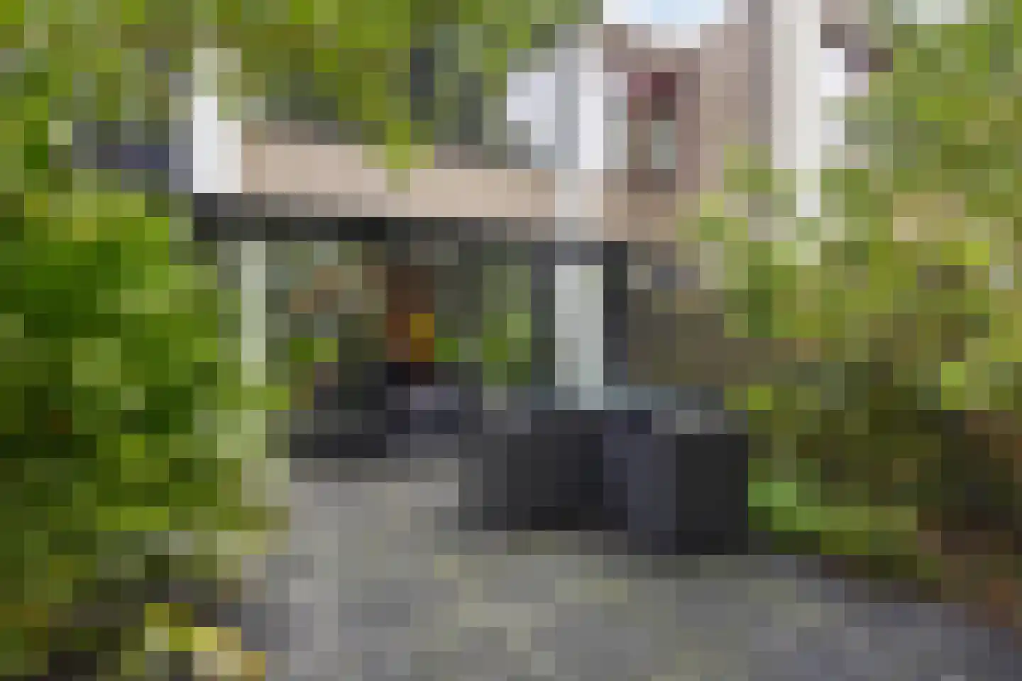 Treilerstraat 89 Zaandam thumbnail 25