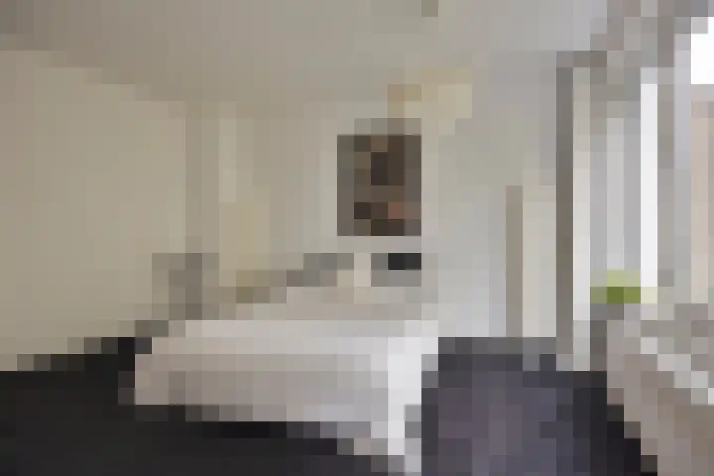Treilerstraat 89 Zaandam thumbnail 33