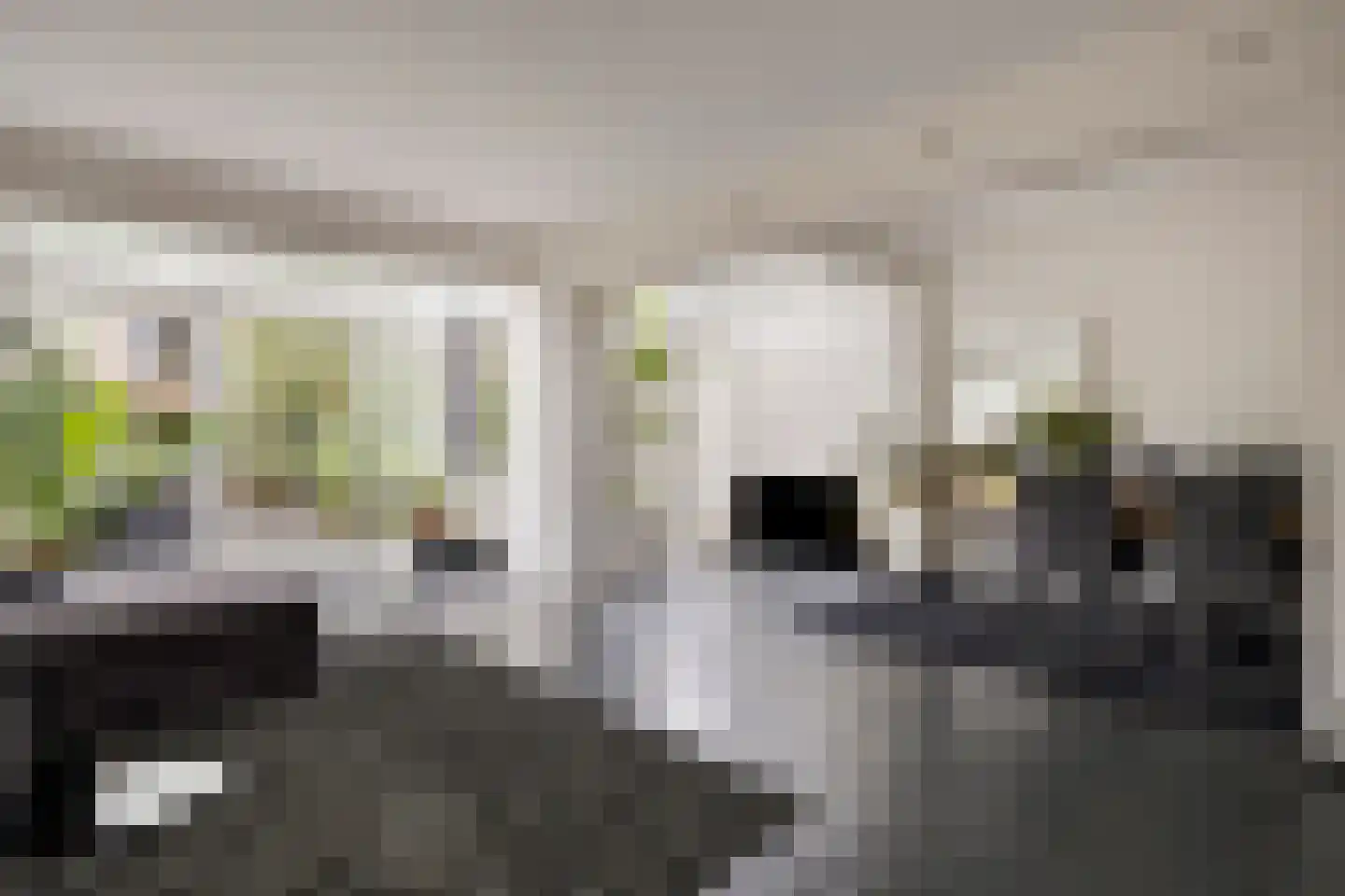 Treilerstraat 89 Zaandam thumbnail 5