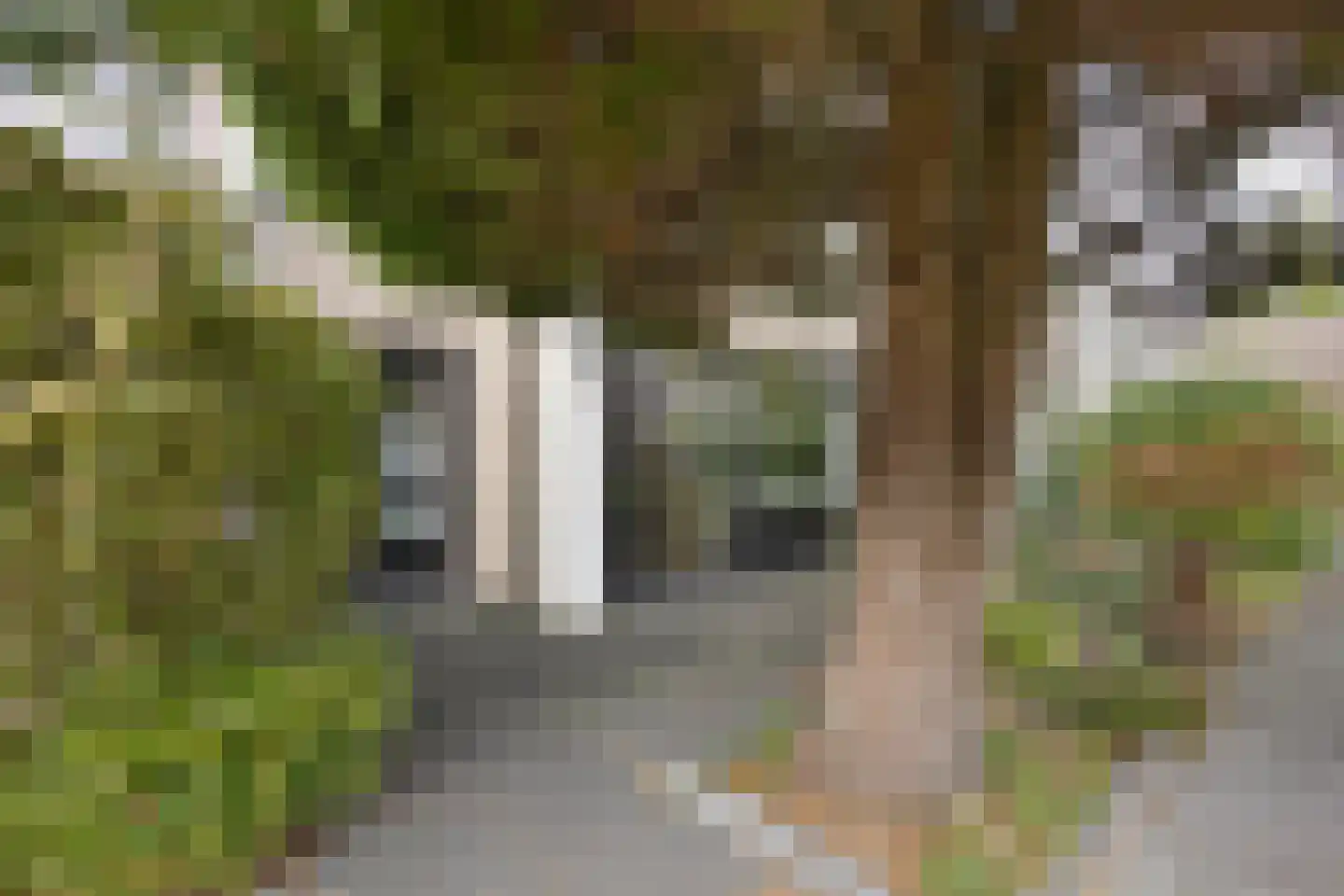 Treilerstraat 89 Zaandam thumbnail 50