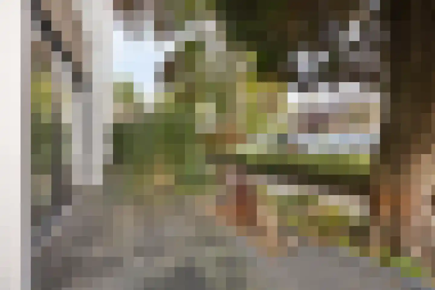 Treilerstraat 89 Zaandam thumbnail 51