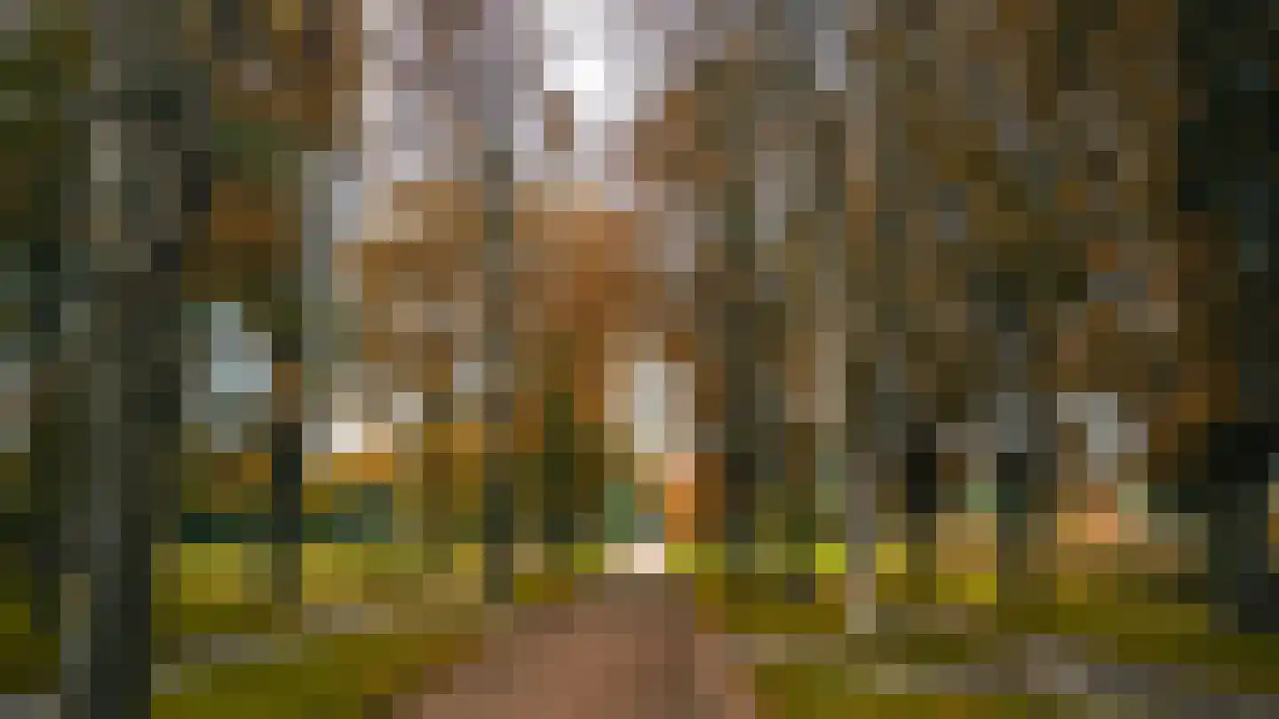 Treilerstraat 89 Zaandam thumbnail 57