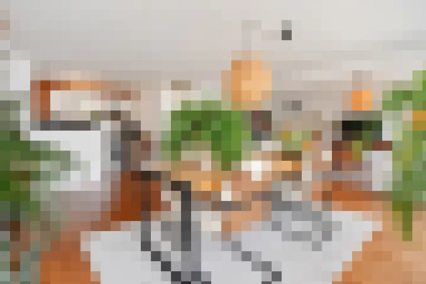 Treilerweg 8 Den Haag thumbnail 16