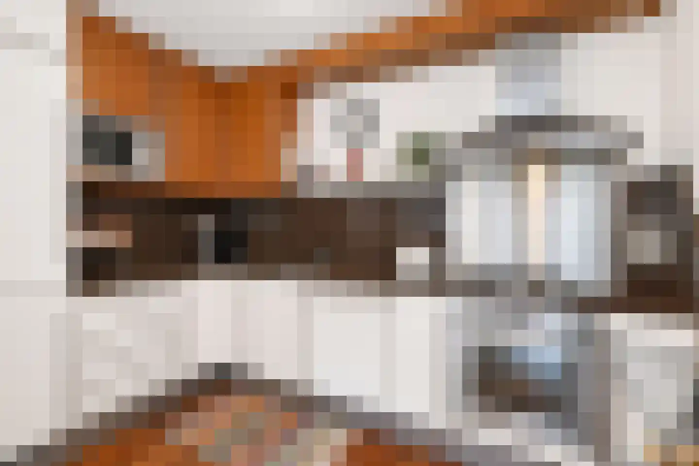 Treilerweg 8 Den Haag thumbnail 18
